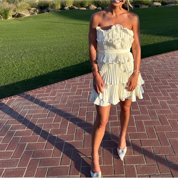 Amur Reed Pleated Shell Dress in Ivory - Picture 4 of 4